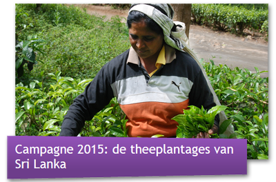 Campagne 2015 - de theeplantages van Sri Lanka