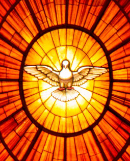 Verbeelding van de H. Geest in de vorm van een duif - Glas-in-lood-raam in de Sint Pietersbasiliek in Vaticaanstad