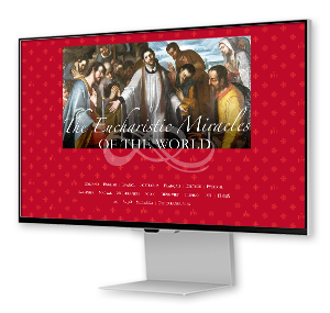 Website Eucharistische Wonderen