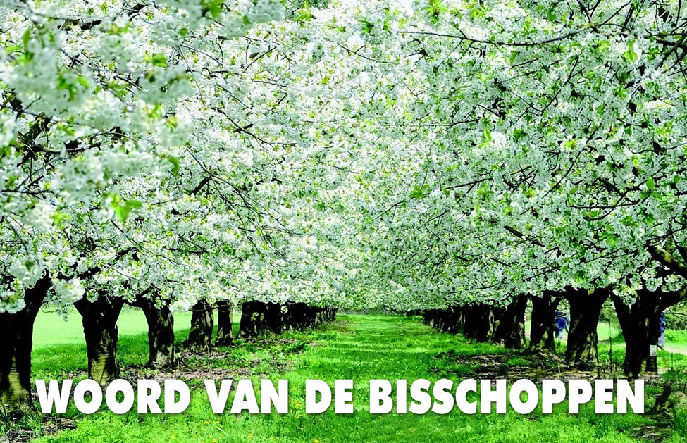 Woord van de bisschoppen voor de Vredesweek