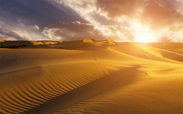 Over de Volharding Over de Volharding